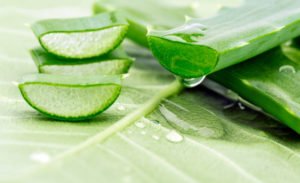 best use of aloe vera benefits for skin | एलोवेरा का सही उपयोग