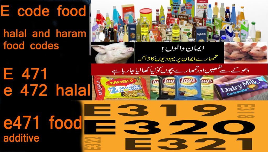 E-code-halal-and-haram